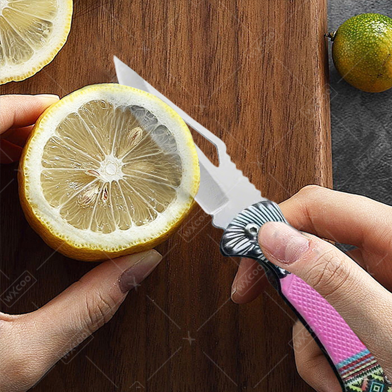 WXCOO Folding Knife Stainless  – Kitchen Q recenzja i cena